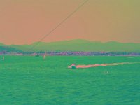 IMGP2753 edited (Medium)